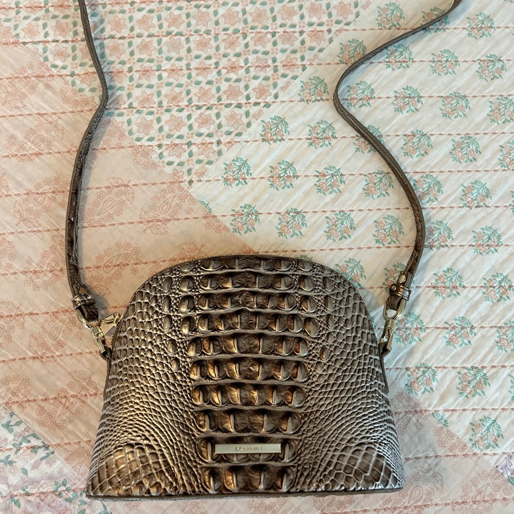 Brahmin Small Georgina Ombre Melbourne Leather Crossbody in silver lining